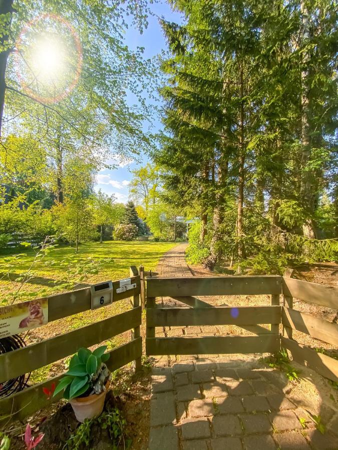 Ferienwohnung Im Sachsenwald Dassendorf Екстериор снимка