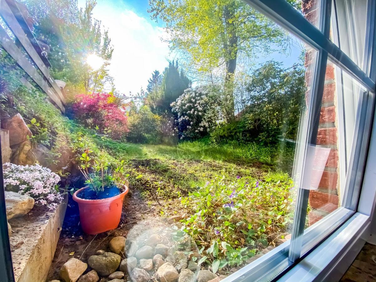 Ferienwohnung Im Sachsenwald Dassendorf Екстериор снимка